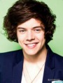 /album/fotogaleria/harry-styles-the-official-annual-2013-one-direction-32588341-1225-1600-jpg/